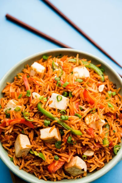 Schezwan hakka erişte paneer veya süzme peynir ile. Bir kasede servis. seçici odak