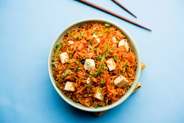 Schezwan hakka erişte paneer veya süzme peynir ile. Bir kasede servis. seçici odak