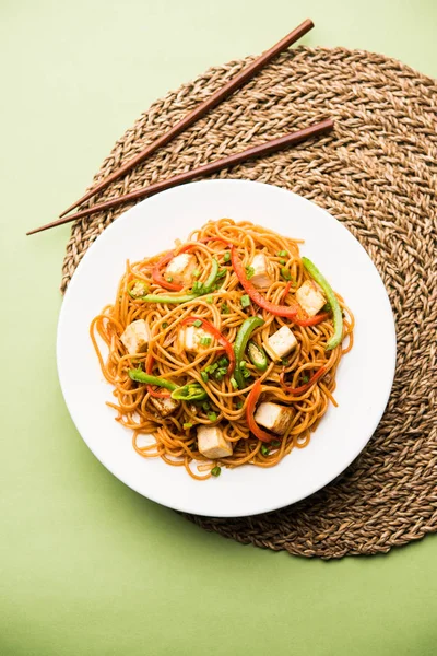 Schezwan hakka erişte paneer veya süzme peynir ile. Bir kasede servis. seçici odak