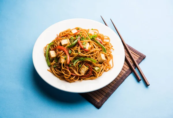 Schezwan hakka erişte paneer veya süzme peynir ile. Bir kasede servis. seçici odak