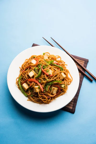 Schezwan hakka erişte paneer veya süzme peynir ile. Bir kasede servis. seçici odak