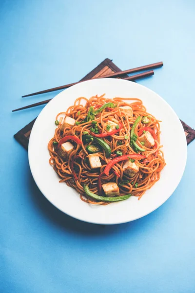 Schezwan hakka erişte paneer veya süzme peynir ile. Bir kasede servis. seçici odak