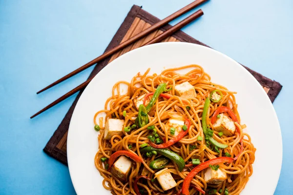 Schezwan hakka erişte paneer veya süzme peynir ile. Bir kasede servis. seçici odak