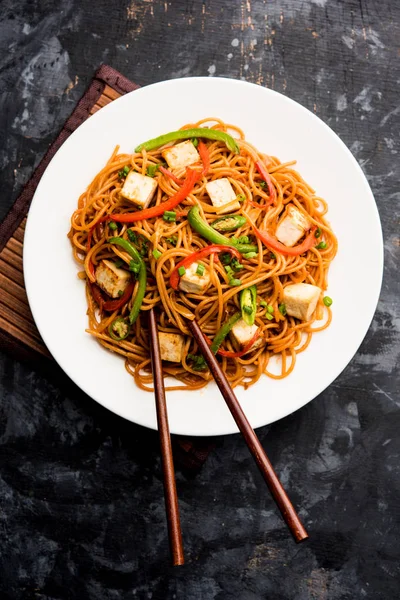 Schezwan hakka erişte paneer veya süzme peynir ile. Bir kasede servis. seçici odak