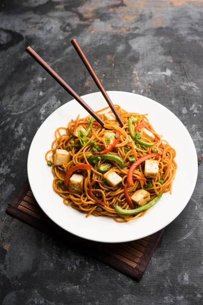 Schezwan hakka erişte paneer veya süzme peynir ile. Bir kasede servis. seçici odak