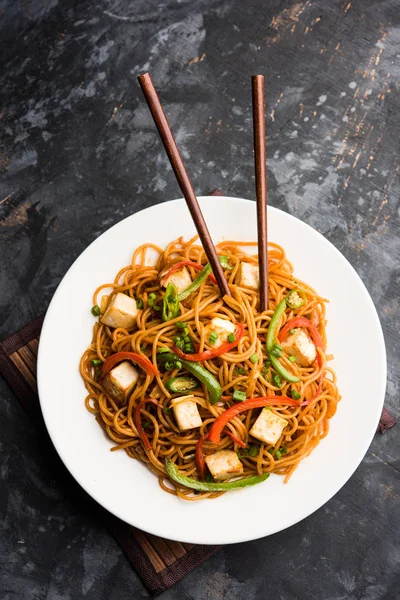 Schezwan hakka erişte paneer veya süzme peynir ile. Bir kasede servis. seçici odak