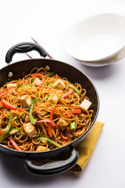 Schezwan hakka erişte paneer veya süzme peynir ile. Bir kasede servis. seçici odak