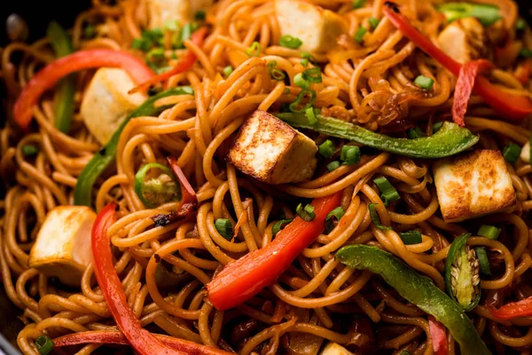 Schezwan hakka erişte paneer veya süzme peynir ile. Bir kasede servis. seçici odak