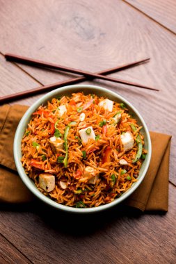 Schezwan paneer kızarmış pilav Szechuan sos ve peynir küpleri ile. bir kase ya da plaka veya tava servis. seçici odak