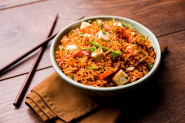 Schezwan paneer kızarmış pilav Szechuan sos ve peynir küpleri ile. bir kase ya da plaka veya tava servis. seçici odak