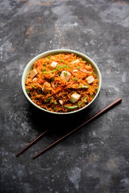 Schezwan paneer kızarmış pilav Szechuan sos ve peynir küpleri ile. bir kase ya da plaka veya tava servis. seçici odak