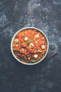 Schezwan paneer kızarmış pilav Szechuan sos ve peynir küpleri ile. bir kase ya da plaka veya tava servis. seçici odak