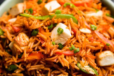 Schezwan paneer kızarmış pilav Szechuan sos ve peynir küpleri ile. bir kase ya da plaka veya tava servis. seçici odak