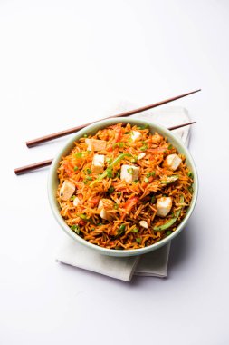 Schezwan paneer kızarmış pilav Szechuan sos ve peynir küpleri ile. bir kase ya da plaka veya tava servis. seçici odak