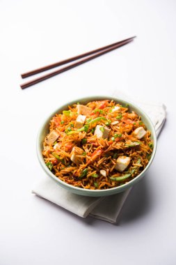 Schezwan paneer kızarmış pilav Szechuan sos ve peynir küpleri ile. bir kase ya da plaka veya tava servis. seçici odak