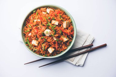 Schezwan paneer kızarmış pilav Szechuan sos ve peynir küpleri ile. bir kase ya da plaka veya tava servis. seçici odak