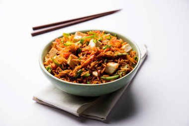 Schezwan paneer kızarmış pilav Szechuan sos ve peynir küpleri ile. bir kase ya da plaka veya tava servis. seçici odak