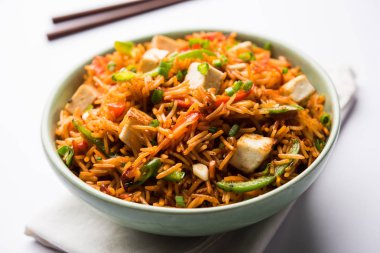 Schezwan paneer kızarmış pilav Szechuan sos ve peynir küpleri ile. bir kase ya da plaka veya tava servis. seçici odak