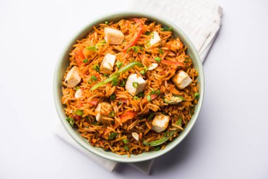 Schezwan paneer kızarmış pilav Szechuan sos ve peynir küpleri ile. bir kase ya da plaka veya tava servis. seçici odak