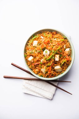 Schezwan paneer kızarmış pilav Szechuan sos ve peynir küpleri ile. bir kase ya da plaka veya tava servis. seçici odak