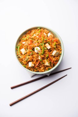 Schezwan paneer kızarmış pilav Szechuan sos ve peynir küpleri ile. bir kase ya da plaka veya tava servis. seçici odak