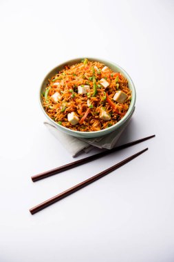 Schezwan paneer kızarmış pilav Szechuan sos ve peynir küpleri ile. bir kase ya da plaka veya tava servis. seçici odak