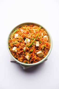 Schezwan paneer kızarmış pilav Szechuan sos ve peynir küpleri ile. bir kase ya da plaka veya tava servis. seçici odak