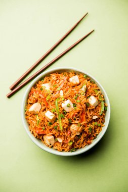 Schezwan paneer kızarmış pilav Szechuan sos ve peynir küpleri ile. bir kase ya da plaka veya tava servis. seçici odak