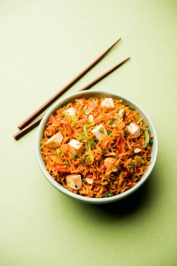 Schezwan paneer kızarmış pilav Szechuan sos ve peynir küpleri ile. bir kase ya da plaka veya tava servis. seçici odak