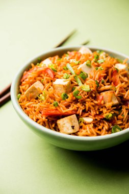 Schezwan paneer kızarmış pilav Szechuan sos ve peynir küpleri ile. bir kase ya da plaka veya tava servis. seçici odak