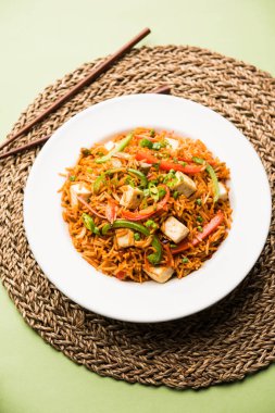 Schezwan paneer kızarmış pilav Szechuan sos ve peynir küpleri ile. bir kase ya da plaka veya tava servis. seçici odak