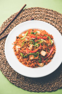 Schezwan paneer kızarmış pilav Szechuan sos ve peynir küpleri ile. bir kase ya da plaka veya tava servis. seçici odak