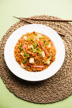 Schezwan paneer kızarmış pilav Szechuan sos ve peynir küpleri ile. bir kase ya da plaka veya tava servis. seçici odak