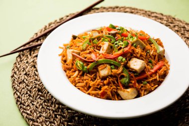 Schezwan paneer kızarmış pilav Szechuan sos ve peynir küpleri ile. bir kase ya da plaka veya tava servis. seçici odak