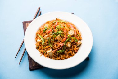 Schezwan paneer kızarmış pilav Szechuan sos ve peynir küpleri ile. bir kase ya da plaka veya tava servis. seçici odak