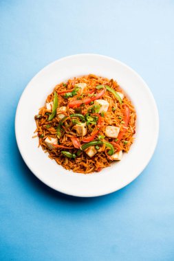 Schezwan paneer kızarmış pilav Szechuan sos ve peynir küpleri ile. bir kase ya da plaka veya tava servis. seçici odak