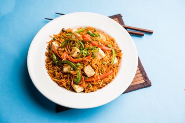 Schezwan paneer kızarmış pilav Szechuan sos ve peynir küpleri ile. bir kase ya da plaka veya tava servis. seçici odak