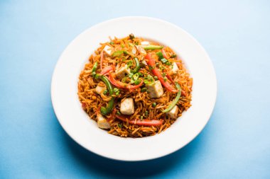 Schezwan paneer kızarmış pilav Szechuan sos ve peynir küpleri ile. bir kase ya da plaka veya tava servis. seçici odak