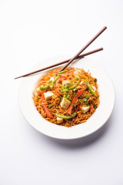 Schezwan paneer kızarmış pilav Szechuan sos ve peynir küpleri ile. bir kase ya da plaka veya tava servis. seçici odak