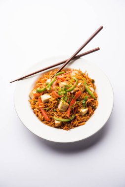 Schezwan paneer kızarmış pilav Szechuan sos ve peynir küpleri ile. bir kase ya da plaka veya tava servis. seçici odak