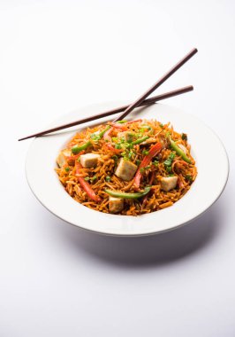 Schezwan paneer kızarmış pilav Szechuan sos ve peynir küpleri ile. bir kase ya da plaka veya tava servis. seçici odak