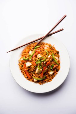 Schezwan paneer kızarmış pilav Szechuan sos ve peynir küpleri ile. bir kase ya da plaka veya tava servis. seçici odak