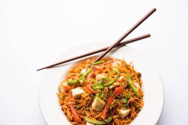 Schezwan paneer kızarmış pilav Szechuan sos ve peynir küpleri ile. bir kase ya da plaka veya tava servis. seçici odak