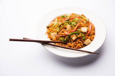 Schezwan paneer kızarmış pilav Szechuan sos ve peynir küpleri ile. bir kase ya da plaka veya tava servis. seçici odak