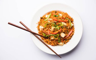 Schezwan paneer kızarmış pilav Szechuan sos ve peynir küpleri ile. bir kase ya da plaka veya tava servis. seçici odak