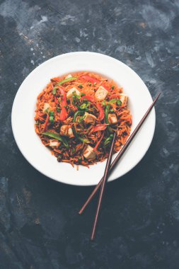 Schezwan paneer kızarmış pilav Szechuan sos ve peynir küpleri ile. bir kase ya da plaka veya tava servis. seçici odak