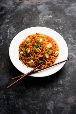 Schezwan paneer kızarmış pilav Szechuan sos ve peynir küpleri ile. bir kase ya da plaka veya tava servis. seçici odak