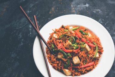 Schezwan paneer kızarmış pilav Szechuan sos ve peynir küpleri ile. bir kase ya da plaka veya tava servis. seçici odak