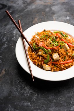 Schezwan paneer kızarmış pilav Szechuan sos ve peynir küpleri ile. bir kase ya da plaka veya tava servis. seçici odak