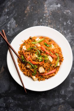 Schezwan paneer kızarmış pilav Szechuan sos ve peynir küpleri ile. bir kase ya da plaka veya tava servis. seçici odak